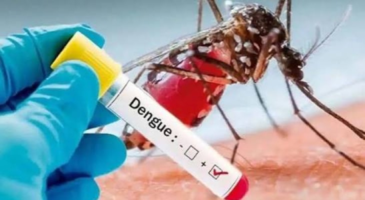 ডেঙ্গুতে আরও দুইজনের মৃত্যু, একদিনে হাসপাতালে ভর্তি ২২০ রোগী